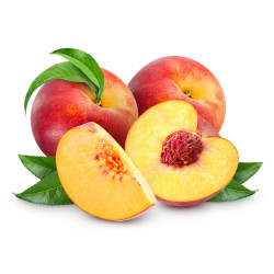 NECTARINO 10L RESIDUO CERO VERDECORA