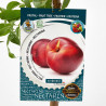 NECTARINO 10L RESIDUO CERO VERDECORA