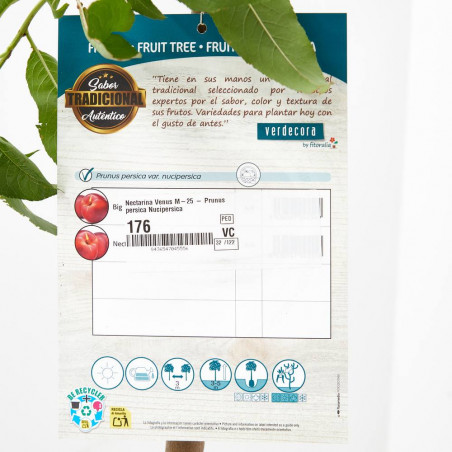 NECTARINO 10L RESIDUO CERO VERDECORA