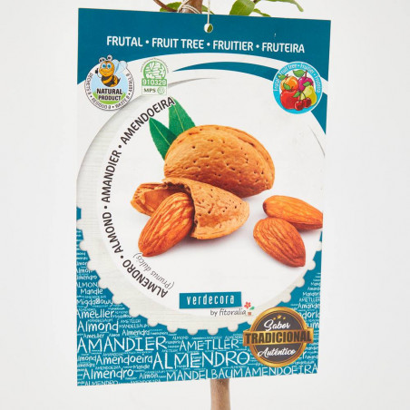 ALMENDRO 10L RESIDUO CERO VERDECORA