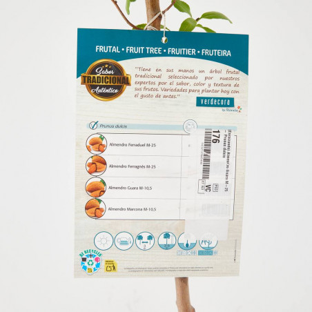 ALMENDRO 10L RESIDUO CERO VERDECORA