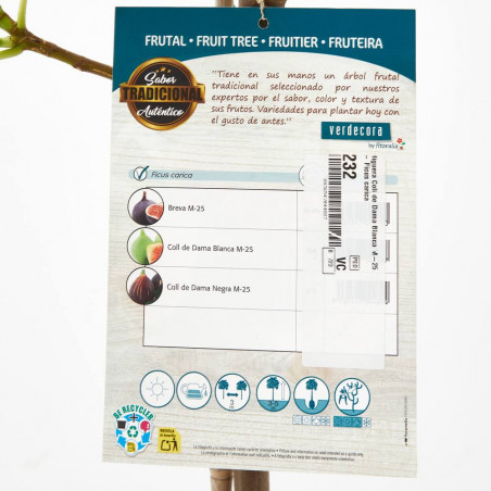 HIGUERA 10L RESIDUO CERO VERDECORA