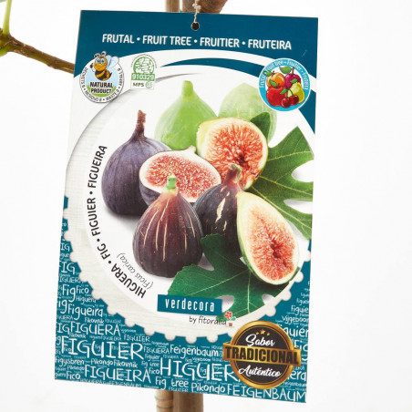 HIGUERA 10L RESIDUO CERO VERDECORA