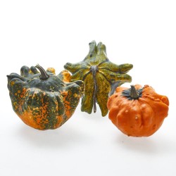 CALABAZA GIZMO