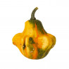 CALABAZA GIZMO