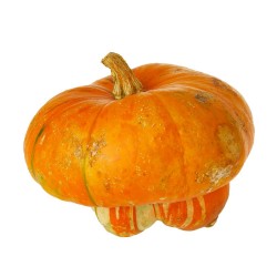 CALABAZA SOMBRERO
