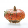CALABAZA SOMBRERO
