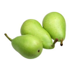 PERAL BLANQUILLA AGUA MACETA 10 LITROS