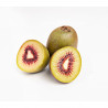 KIWI ROJO MACETA 2L