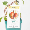 KIWI ROJO MACETA 2L