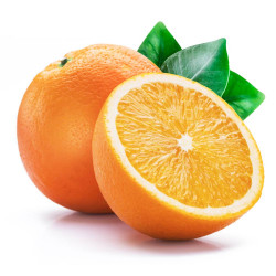 NARANJO TERRAZA MACETA 5 LITROS