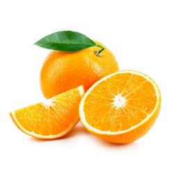 CHINOTTO ENANO TERRAZA MACETA 20CM