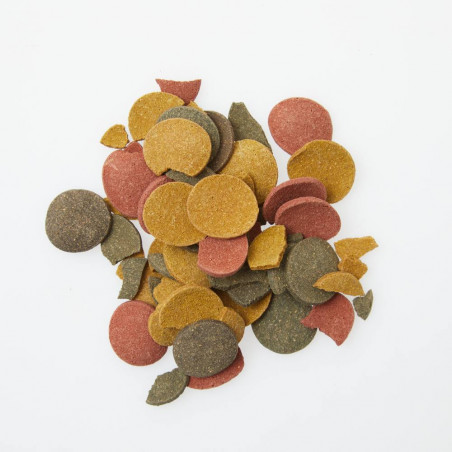 TABLETA PECES DE FONDO VERDECORA 100ML