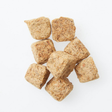 TACOS DE ARTEMIA VERDECORA 100ML