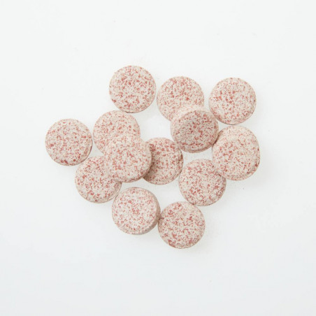 TABLETA ADHESIVA PECES VERDECORA 100ML