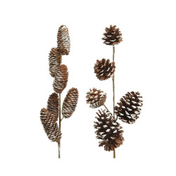 PIÑA NIEVE EN RAMA 60CM