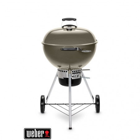BARBACOA MASTER-TOUCH GBS E-5750 GRIS 57CM WEBER