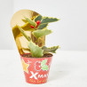 MINI ACEBO VERDE Y BLANCO CON FRUTO Y ENVOLTORIO MACETA 6CM
