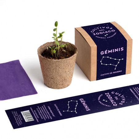 CULTIVO ZODIACO GÉMINIS
