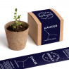 CULTIVO ZODIACO CÁNCER
