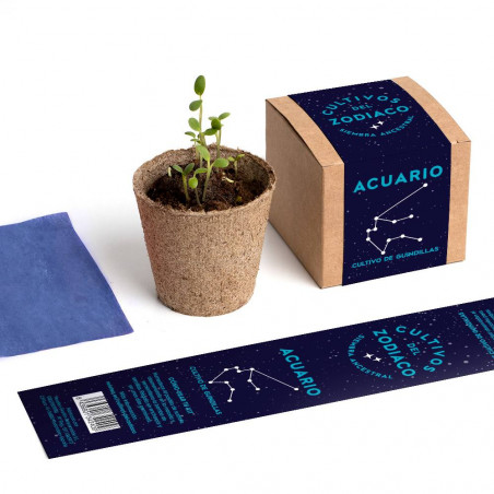 CULTIVO ZODIACO ACUARIO