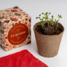 CAJA FLORES TE QUIERO