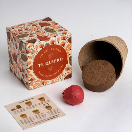 CAJA FLORES TE QUIERO