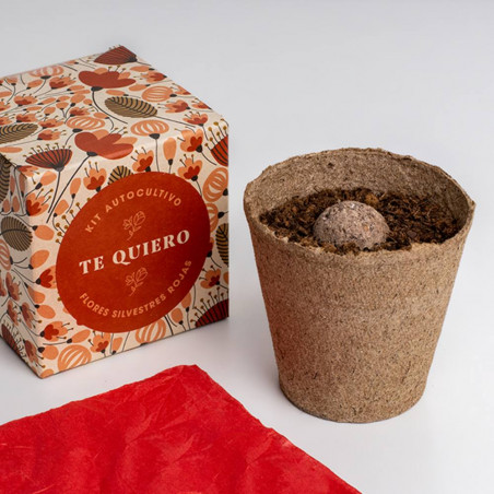 CAJA FLORES TE QUIERO