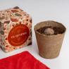 CAJA FLORES TE QUIERO