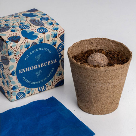 CAJA FLORES ENHORABUENA