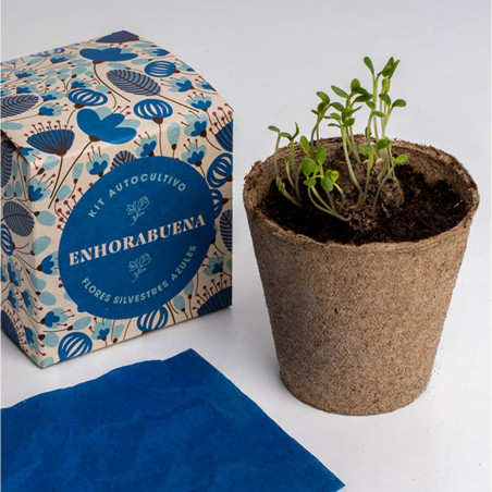 CAJA FLORES ENHORABUENA