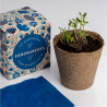 CAJA FLORES ENHORABUENA