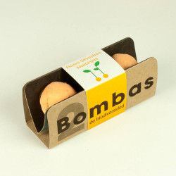 BOMBAS BIODIVERSIDAD FLORES NARANJAS