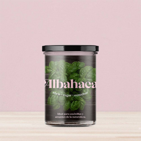 KIT HUERTO ALBAHACA