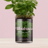 KIT HUERTO ALBAHACA