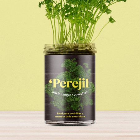 KIT HUERTO PEREJIL