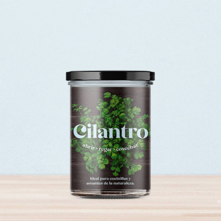 KIT HUERTO CILANTRO