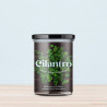 KIT HUERTO CILANTRO