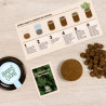 KIT HUERTO CILANTRO