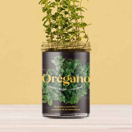 KIT HUERTO ORÉGANO