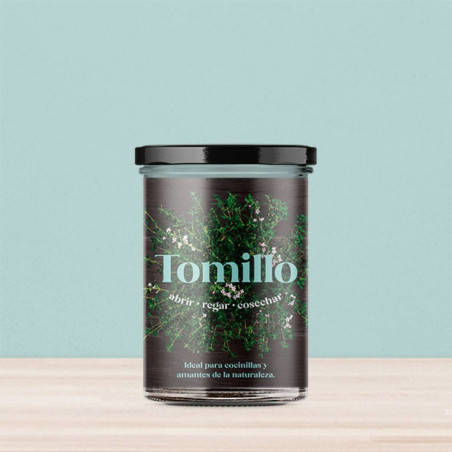 KIT HUERTO TOMILLO