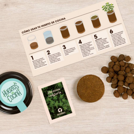 KIT HUERTO TOMILLO