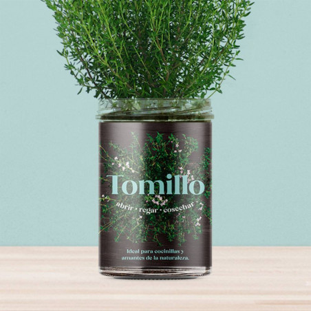 KIT HUERTO TOMILLO