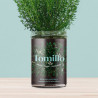 KIT HUERTO TOMILLO