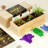 KIT CULTIVO GOURMET