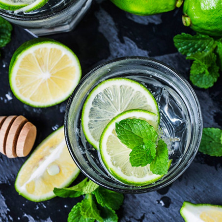 KIT CULTIVO MOJITO