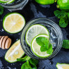 KIT CULTIVO MOJITO
