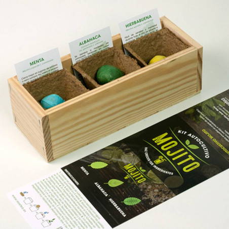 KIT CULTIVO MOJITO