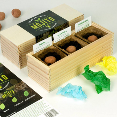 KIT CULTIVO MOJITO
