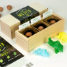 KIT CULTIVO MOJITO